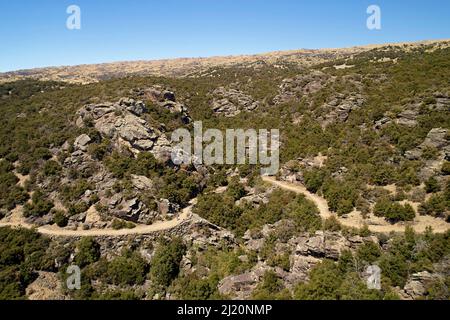 Remnant kanuka Forest and Aurora Track, Bendigo Ghost Town, Central Otago, South Island, Neuseeland - Drohnenantenne Stockfoto