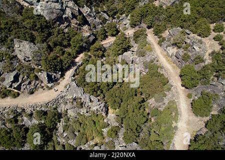 Remnant kanuka Forest and Aurora Track, Bendigo Ghost Town, Central Otago, South Island, Neuseeland - Drohnenantenne Stockfoto