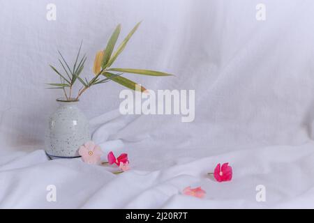 Komposition aus zierlichen Periwinkle-Blüten auf einem hellen weißen Hintergrund, die eine frische und ruhige Frühlingsthetik zeigen Stockfoto