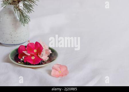 Komposition aus zierlichen Periwinkle-Blüten auf einem hellen weißen Hintergrund, die eine frische und ruhige Frühlingsthetik zeigen Stockfoto