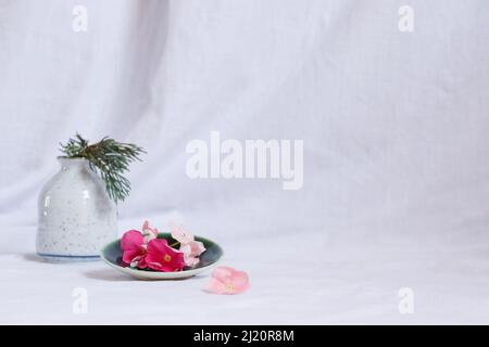 Komposition aus zierlichen Periwinkle-Blüten auf einem hellen weißen Hintergrund, die eine frische und ruhige Frühlingsthetik zeigen Stockfoto