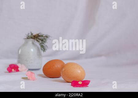 Helles und luftiges, ästhetisches Osterstillleben, das die frischen und sanften Gefühle der Frühjahrssaison vermittelt Stockfoto