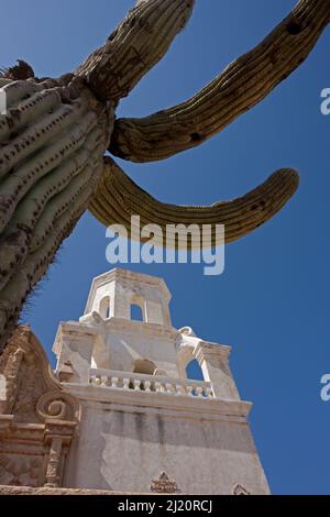 Mission San Xavier del Bac Kirchturm mit Saguaro Kaktus (Carnegia gigantea) gegen blauen Himmel, Tohono O'odham Reservation, in der Nähe von Tucson, Arizona, USA Stockfoto