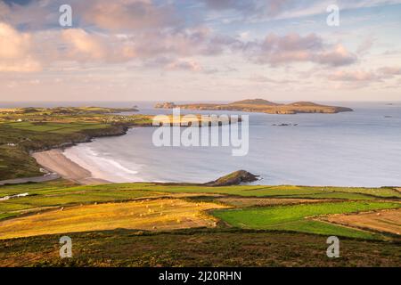 Blick über Whitesands Beach in Richtung Ramsey Island von Carn Llidi, Early Morning Klight, Pembrokeshire, Wales, Großbritannien. September. Stockfoto