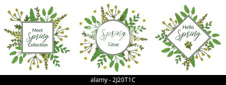 Set von Frühlingsblumen grünen Rahmen mit Wiesenblumen. Handgezeichnete Vektorgrafik Stock Vektor