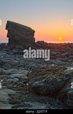 Charlie’s Garden liegt direkt an der Collywell Bay Road in Seaton Sluice und ist eine isolierte Sandsteinspitze, die ihren Namen von einem lokalen Dorfbewohner übernommen hat. Stockfoto