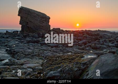 Charlie’s Garden liegt direkt an der Collywell Bay Road in Seaton Sluice und ist eine isolierte Sandsteinspitze, die ihren Namen von einem lokalen Dorfbewohner übernommen hat. Stockfoto