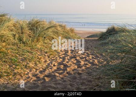 Ein sandiger Weg führt durch die Dünen zu einem schönen Strand bei Seaton Sluice in North Tyneside an der Nordseeküste. Stockfoto