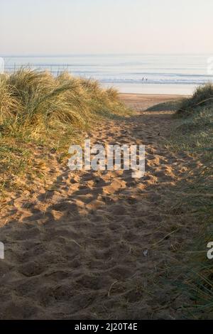 Ein sandiger Weg führt durch die Dünen zu einem schönen Strand bei Seaton Sluice in North Tyneside an der Nordseeküste. Stockfoto