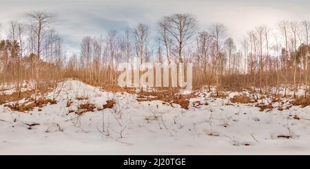 360 Grad Panorama Ansicht von Erstaunliche Landschaft mit blauem Himmel an Frühlingsbäumen ohne Gras und Grüns mit Schnee 3D kugelförmiges Panorama mit 360 Grad Betrachtungswinkel bereit für Kleinanzeigen