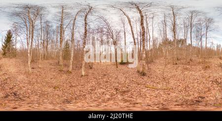 360 Grad Panorama Ansicht von Atemberaubende Landschaft mit blauem Himmel bei Frühlingsbäumen ohne Gras und Grünflächen 3D kugelförmiges Panorama mit 360 Grad Betrachtungswinkel bereit für die virtuelle Realität