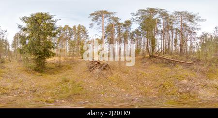 360 Grad Panorama Ansicht von Atemberaubende Landschaft mit blauem Himmel bei Frühlingsbäumen ohne Gras und Grünflächen 3D kugelförmiges Panorama mit 360 Grad Betrachtungswinkel bereit für die virtuelle Realität