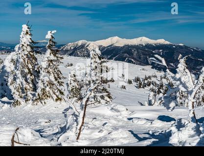 Krivanska Mala Fatra und Babia hora vom Velka luka Berg in der Mala Fatra in der Slowakei während eines schönen Wintertages Stockfoto