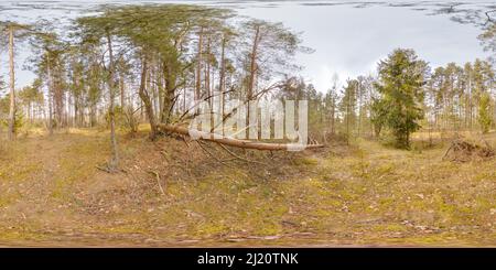 360 Grad Panorama Ansicht von Atemberaubende Landschaft mit blauem Himmel bei Frühlingsbäumen ohne Gras und Grünflächen 3D kugelförmiges Panorama mit 360 Grad Betrachtungswinkel bereit für die virtuelle Realität