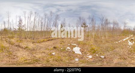 360 Grad Panorama Ansicht von Erstaunliche Landschaft mit blauem Himmel an Frühlingsbäumen ohne Gras und Grüns mit Schnee 3D kugelförmiges Panorama mit 360 Grad Betrachtungswinkel bereit für Kleinanzeigen