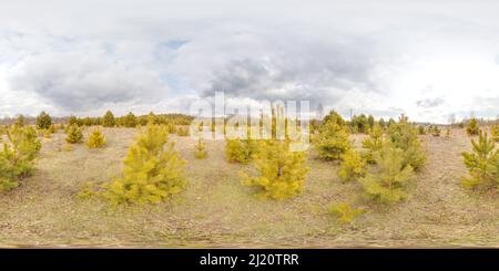 360 Grad Panorama Ansicht von Atemberaubende Landschaft mit blauem Himmel bei Frühlingsbäumen ohne Gras und Grünflächen 3D kugelförmiges Panorama mit 360 Grad Betrachtungswinkel bereit für die virtuelle Realität
