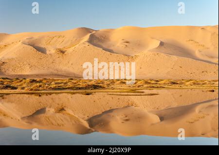 Khongoryn Els Sanddünen und Reflexion im Teich, South Gobi Wüste. Mongolei. Stockfoto