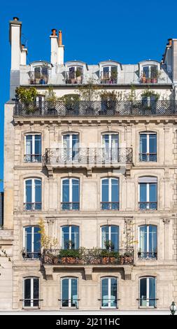 Paris, typisches Gebäude, pariser Fassade, Rue de Rivoli Stockfoto