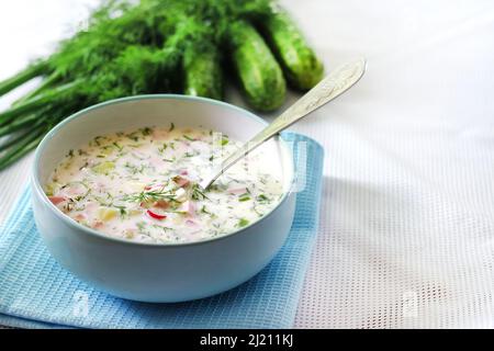 Okroshka – traditionelle russische kalte Suppe mit frischer Gurke, gekochten Eiern und Dill. Speicherplatz kopieren Stockfoto