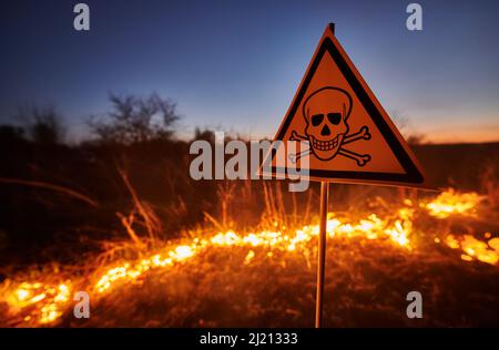 Brennendes trockenes Gras und giftiges Gift in der Nacht. Gelbes Dreieck mit Schädel und Kreuzknochen warnen vor giftigen Substanzen und Gefahr im Feld mit Feuer. Ökologie und Gefahrenkonzept. Stockfoto