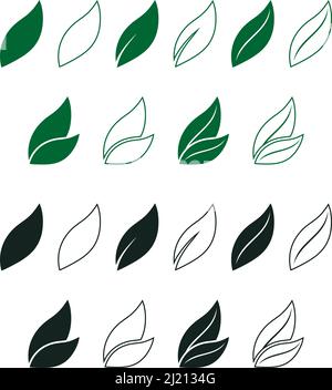 Blattvektor in Grün und Schwarz eingestellt. Weißer isolierter Hintergrund. Abstrakte Blätter Illustration in verschiedenen Designs. Stock Vektor