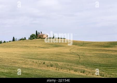 Ein gewundener, enger Weg durch die grasbewachsenen Hügel der Toskana führt zu einem traditionellen alten Bauernhaus, das auf einem Hügel steht. Val d’Orcia, Italien Stockfoto