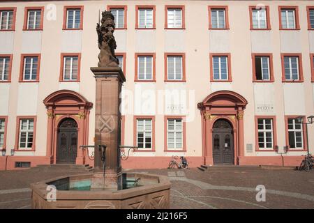 Löwenbrunnen vor der Alten Universität in Heidelberg, Baden-Württemberg, Deutschland Stockfoto