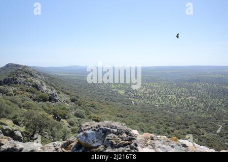 Blick vom Castillo de Monfragüe in Plain, Extremadura, Spanien Stockfoto