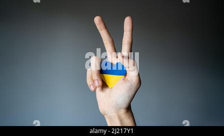 Ukraine Flagge Farbe Herz in der Hand machen V-Zeichen Stockfoto