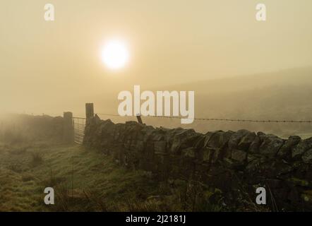 Nebel über einem Moor in Northumberland, Großbritannien Stockfoto