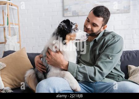 Fröhlicher bärtiger Mann, der den australischen Schäferhund auf der Couch kuschelt Stockfoto