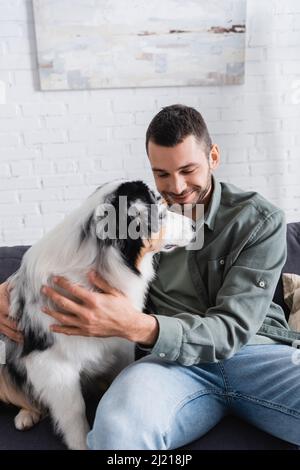 Lächelnder bärtiger Mann, der den australischen Schäferhund auf der Couch kuschelt Stockfoto