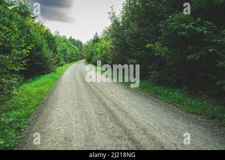 Eine Schotterstraße durch einen grünen dichten Laubwald, launische Aussicht Stockfoto