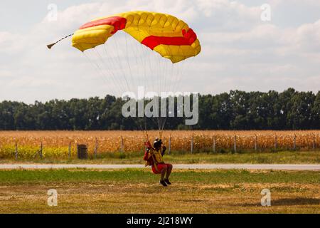 Fallschirmspringen. Fallschirmspringer landen auf dem Feld. Stockfoto