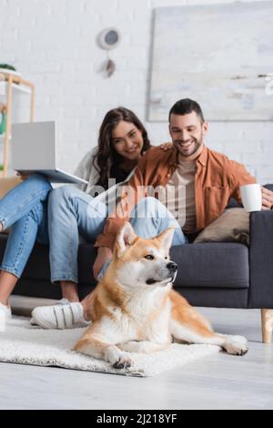 Lächelndes, verschwommenes Paar mit Laptop und Tasse auf der Couch sitzend und dem akita-Inu-Hund zuschauend Stockfoto