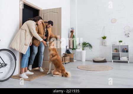 In voller Länge ein glückliches Paar in Winterjacken, das in der Nähe des akita Inu Hundes steht Stockfoto