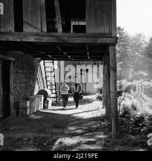 MAUREEN STAPLETON und MARLON BRANDO in DER FLÜCHTIGEN ART 1960 Regisseur SIDNEY LUMET spielen Tennessee Williams Drehbuch Tennessee Williams und Meade Roberts Pennebaker Productions / United Artists Stockfoto