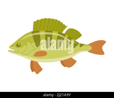 Flussfischbarsch. Köstliche Speisen zubereiten. Unterwasserwelt. Cartoon-Vektor-Illustration isoliert auf weißem Hintergrund Stock Vektor