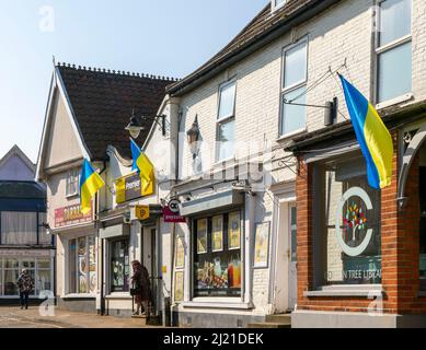 Unterstützung für die Ukraine, ukrainische Nationalflaggen, die vor den Geschäften fliegen, Saxmundham, Suffolk, England, Großbritannien Stockfoto