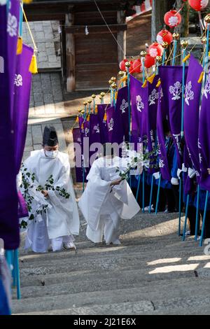 iida, nagano, japan, 2022/24/03 , Shinto Priester klettern die Stufen, die zum Schrein von Omiya gegen Ende der religiösen Prozession, wo t Stockfoto