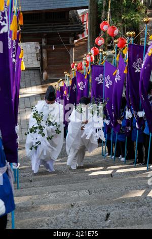 iida, nagano, japan, 2022/24/03 , Shinto Priester klettern die Stufen, die zum Schrein von Omiya gegen Ende der religiösen Prozession, wo t Stockfoto