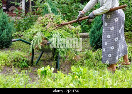 An einem Sommernachmittag kümmert sich eine Frau in einem hellgrauen Rock um den Garten, jäten und beladen mit ihnen eine Gartenrampe in ein Blumenbett. Stockfoto