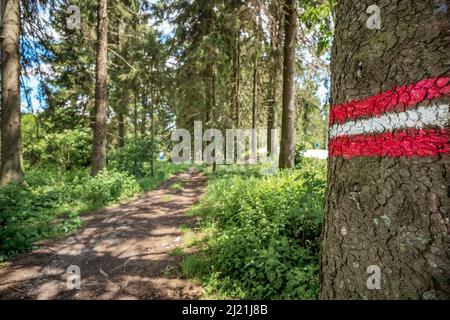 Wanderzeichen auf einem Baumstamm im Wald, Österreich Stockfoto