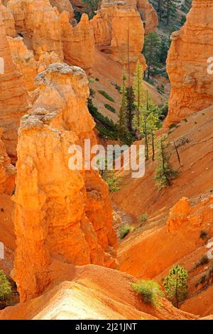 Felsformationen und Hoodoos am Sunrise Point im Morgenlicht, USA, Utah, Bryce Canyon National Park Stockfoto