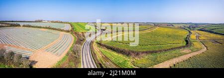 Panorama über die Daffodil Farm in Cornwall von einer Drohne, England Stockfoto