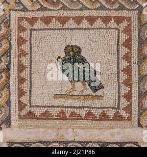 Mosaik einer Eule auf dem Boden des Hauses der Vögel in Italica, einer archäologischen Stätte am Stadtrand von Sevilla Stockfoto