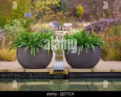 Große runde, schalenförmige Pflanzgefäße, die auf beiden Seiten der Rille platziert sind, die in den Pool im Paradise Garden auf der RHS Bridgewater mündet. Stockfoto