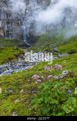 Typische Alpenlandschaft mit Wasserfällen, Schweizer Alpen bei Klausenstraße, Spiringen, Kanton Uri, Schweiz Stockfoto