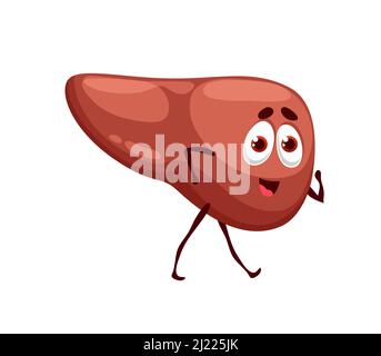 Human lustig Cartoon Leber Charakter, Vektor gesund glücklich Körperorgan. Medizin und Gesundheitswesen oder Kinder personage Leber Emoji mit Gesichtsausdruck, menschlichen Körper Verdauungssystem Organ Stock Vektor