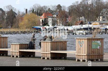 Rostock, Deutschland. 29. März 2022. Am Kaikante im Stadthafen befinden sich Hochbetten mit ausbaggertem Material aus der Warnow, das auf der Bundesgartenschau 2025 in Rostock am gegenüberliegenden Ufer der Warnow getestet werden soll, ob es für den Einsatz geeignet ist. Die im April 2025 geplante Eröffnung der Bundesgartenschau in Rostock scheint in Gefahr zu sein. Die bereits bestehenden Probleme werden nun durch stark steigende Baukosten und die Rohstoffkrise verstärkt. Quelle: Bernd Wüstneck/dpa-Zentralbild/dpa/Alamy Live News Stockfoto